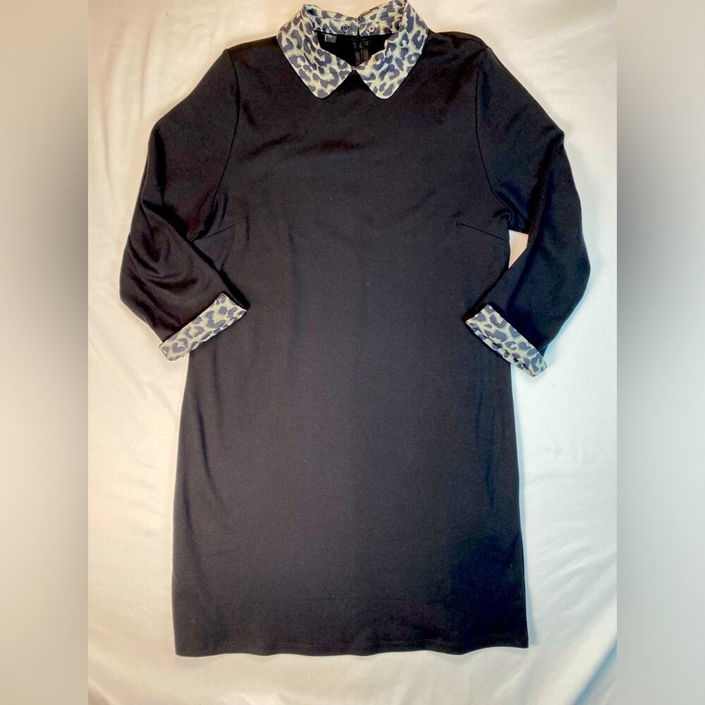 Talbots Black Midi Dress with Patterned Collar and Cuffs